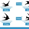 Raamsticker Vogels Zwaluw Afmeting2 kopieren