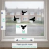 Raamstickers-Vogels-Duiven-Maten kopiëren