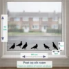 Raamstickers-Vogels-Duiven-Staand-Maten kopiëren
